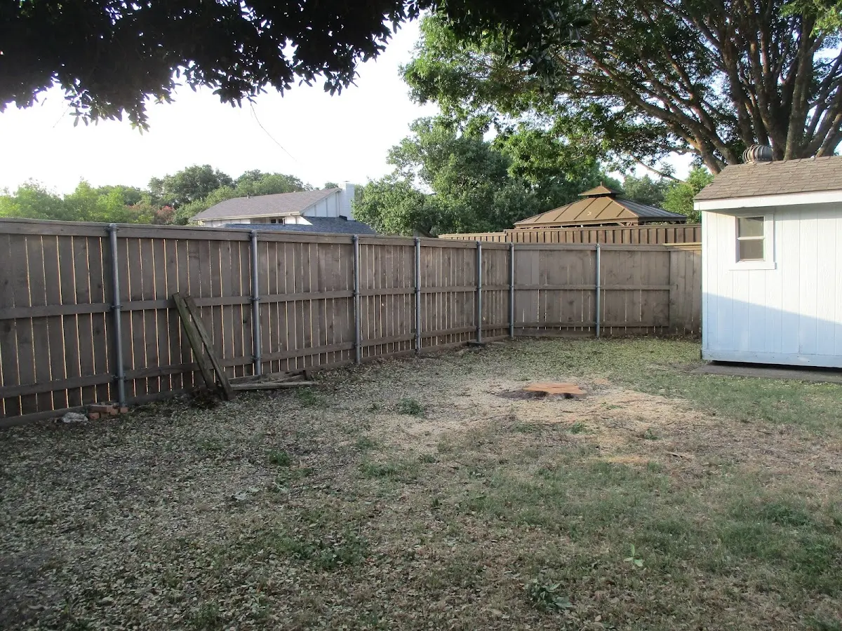 Cleared yard after professional tree removal in Campbell